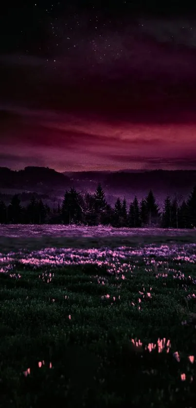 Purple night sky above a field, ideal for mobile wallpaper.