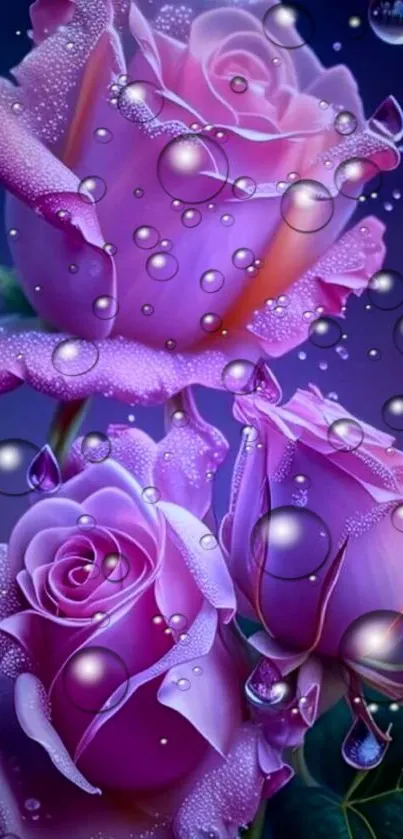 Purple roses with water droplets for phone background.