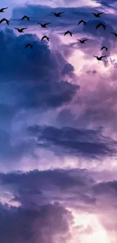 Purple sky with clouds and birds wallpaper, perfect for a serene mobile background.