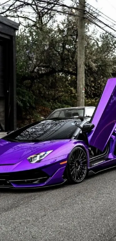 Purple sports car with open doors on street.