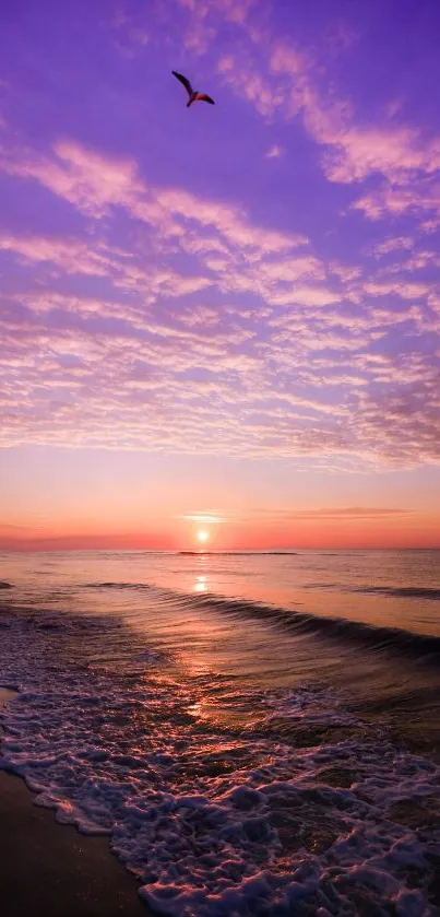 Purple sunset over a calm beach with waves and a scenic view.