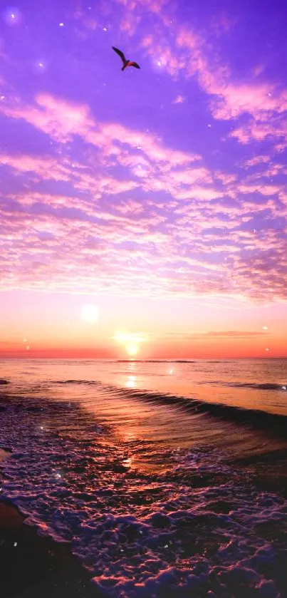 Purple sunset at the beach with waves and a bird in the sky.