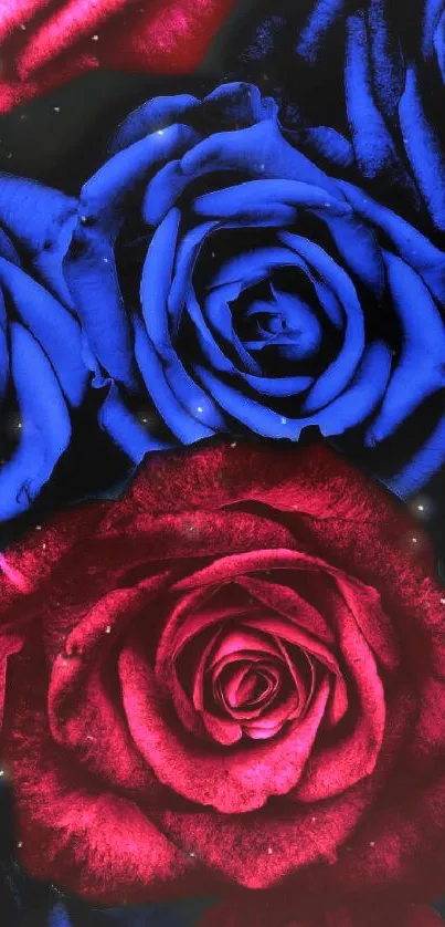 Vibrant red and blue roses wallpaper design.