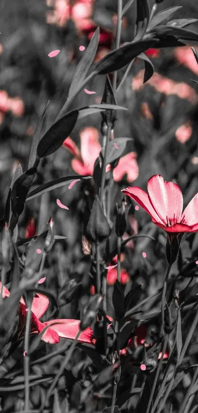 Vibrant red flowers in lush green foliage wallpaper.