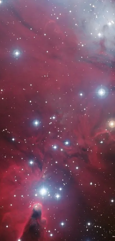 Red nebula with stars, perfect for mobile wallpaper.