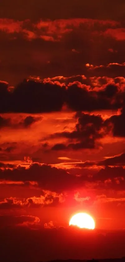 Stunning red sunset with dramatic clouds in the sky. Perfect for mobile wallpaper.