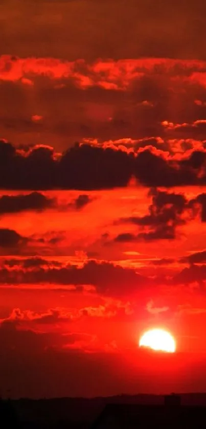 Vibrant red sunset with a glowing sun setting behind clouds.