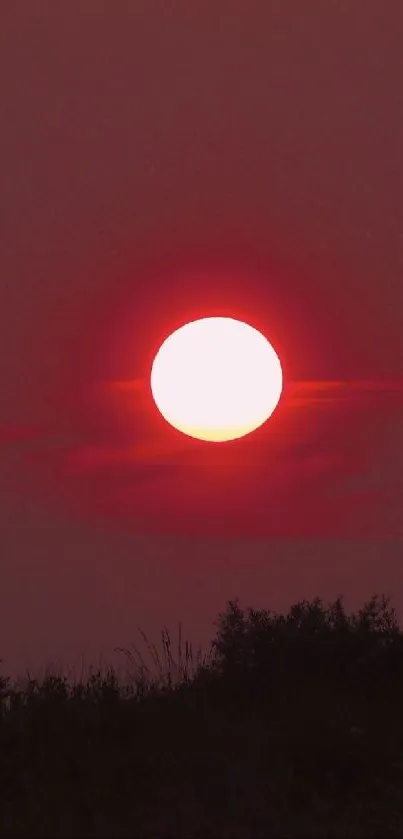 Gorgeous red sunset with glowing sun over dark silhouette of horizon.