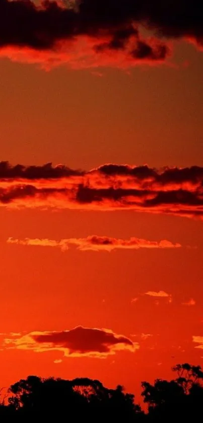 Vibrant red sunset with dramatic clouds and silhouettes on the horizon.