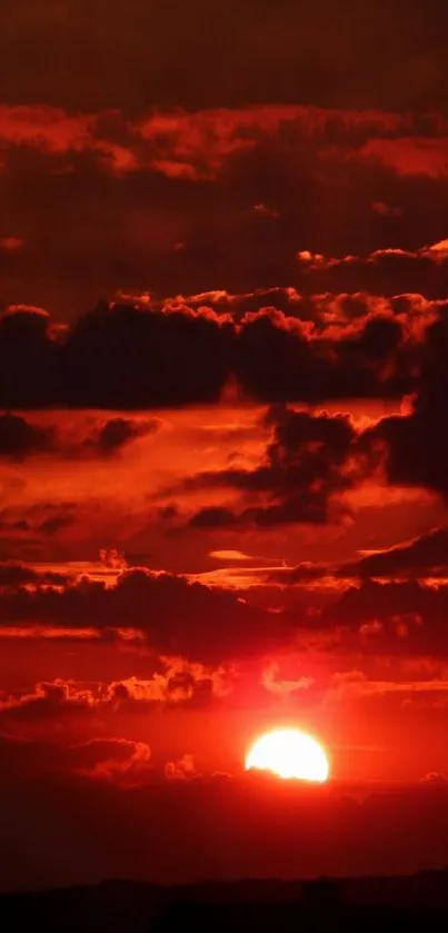 Stunning red sunset with dramatic clouds in vibrant sky.