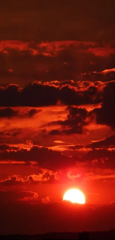 Fiery red sunset with clouds over horizon, ideal for mobile wallpaper.