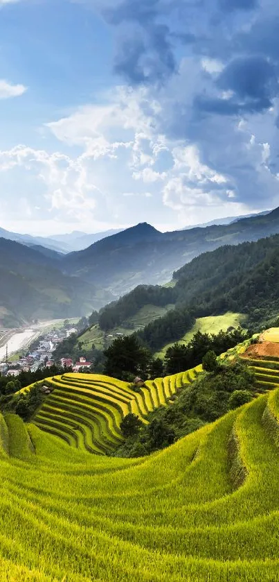 Vibrant green rice terraces under blue sky.