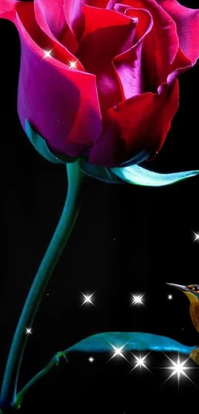 Vibrant red rose and bird on a black background with stars.