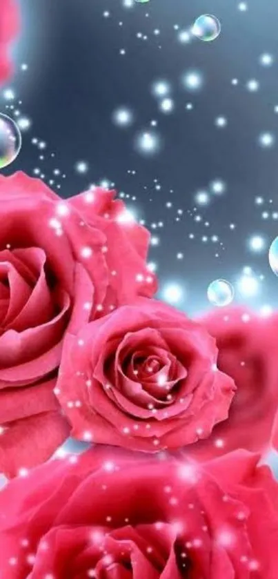 Vibrant pink roses with bubbles on a serene night sky background.