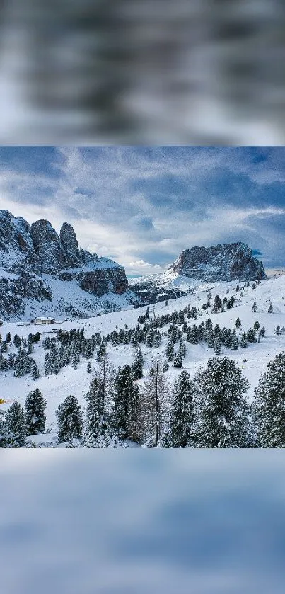 Snow-covered mountains under a blue sky with dense forests.