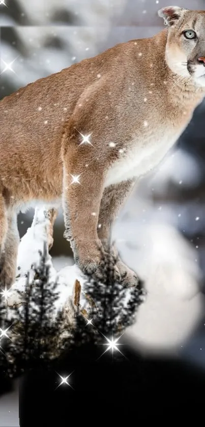 Majestic cougar standing in a snowy forest with sparkling snowflakes.