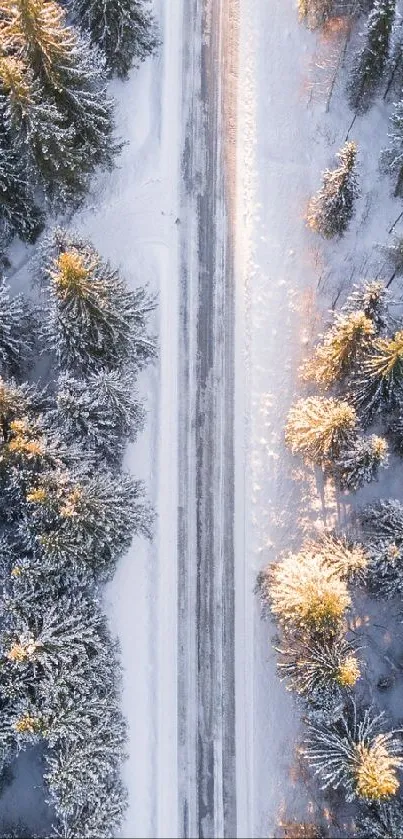 Aerial view of a snow-covered forest with a road passing through.