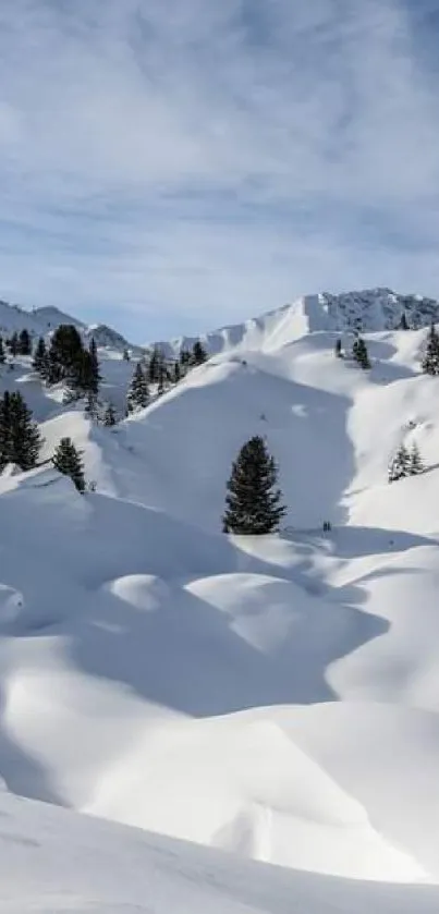 Snow-covered mountains with trees under a clear blue sky.