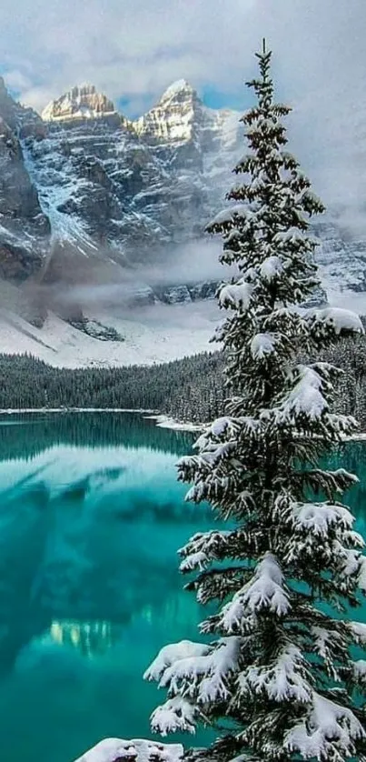 Snowy mountain landscape with turquoise lake and pine tree.