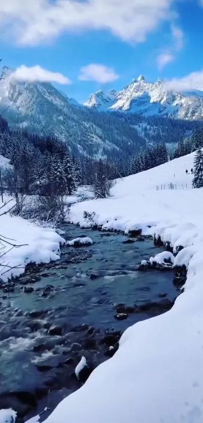 Snowy mountain stream with blue skies and snowy banks.