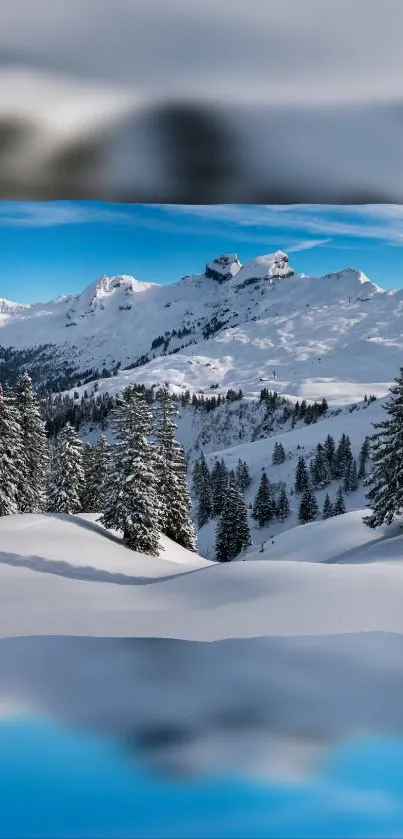 Beautiful snowy mountain landscape with fir trees under a clear blue sky.