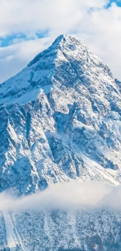 Snowy mountain peak under a clear blue sky.