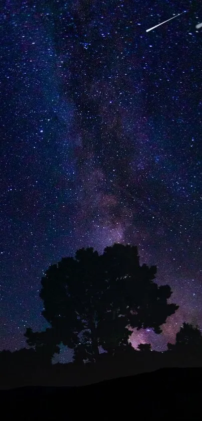 Starry night sky over silhouetted landscape with shooting stars visible.