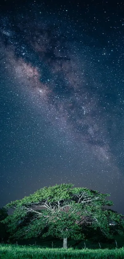 Green tree under a starry night sky with the Milky Way visible.