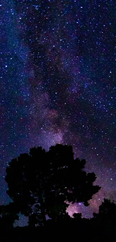 Starry night sky with silhouetted trees and cosmic view.