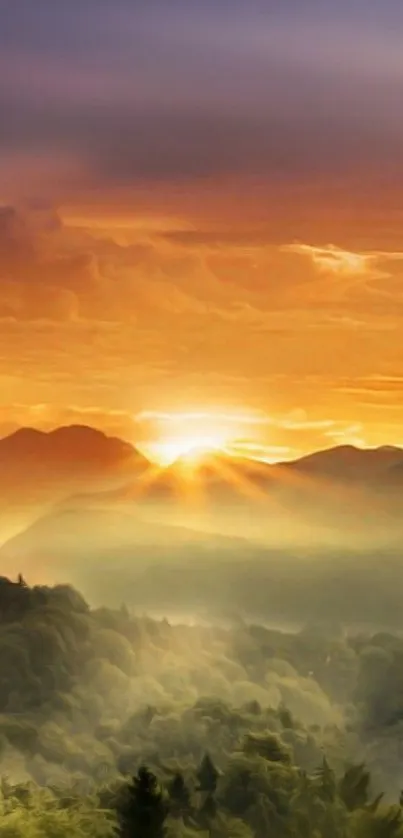 Vibrant sunrise over misty mountains and forest landscape.