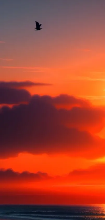 Bright orange sunset over ocean with birds and clouds.