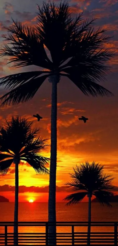 Orange sunset with palm tree shadows on a tranquil beach.