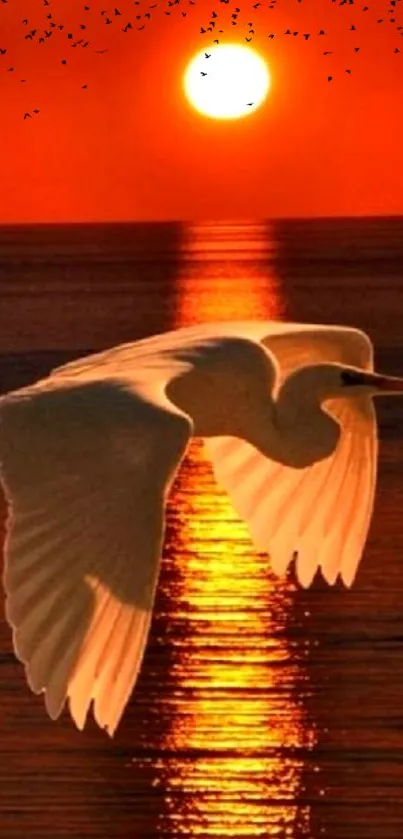 Bird flies over ocean during stunning orange sunset.