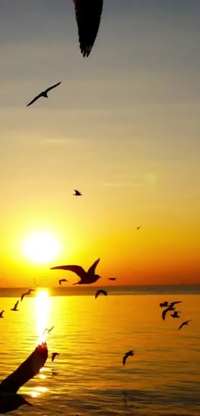 Birds flying over a golden sunset ocean, capturing a serene and tranquil moment.