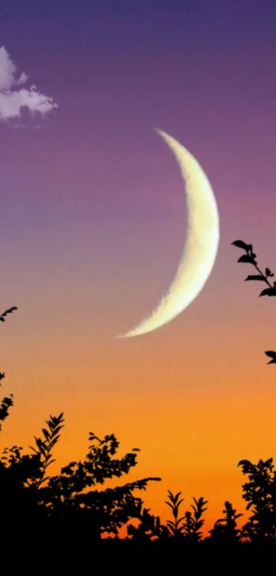 Crescent moon in a vibrant sunset sky with tree silhouettes.