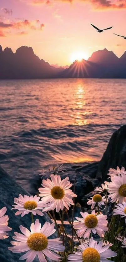 Daisies in foreground with sunset over lake and mountains.