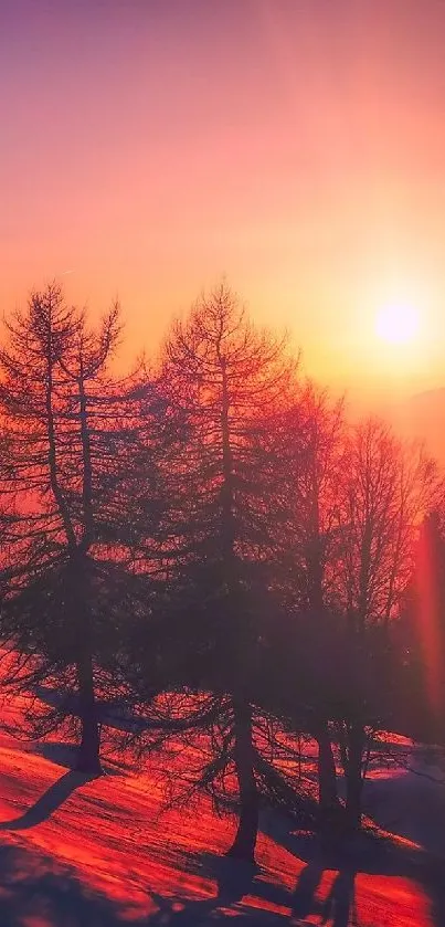 Sunset over snowy mountains with silhouetted trees.