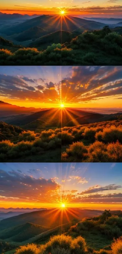 Panoramic sunset landscape with vibrant colors and rolling hills.