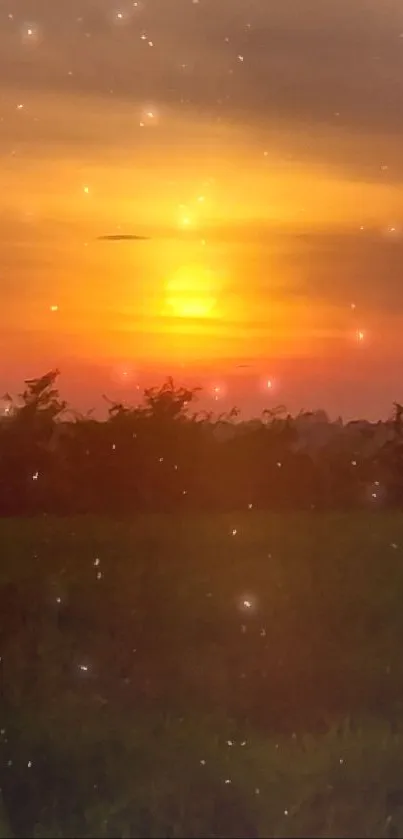 Orange sunset over a tranquil field and horizon.