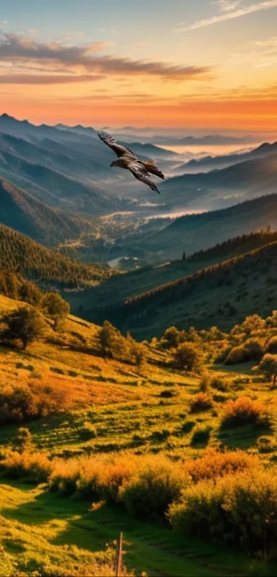 A stunning sunset over mountains with a bird flying high.