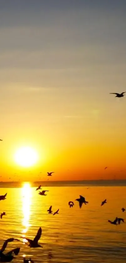 Golden sunset over ocean with birds flying in silhouette.