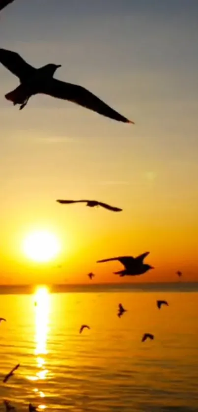 Sunset over ocean with flying birds silhouetted by the warm evening sky.