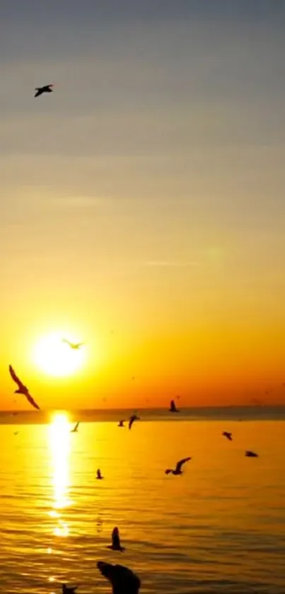 Breathtaking orange sunset over the ocean with seagulls in flight.