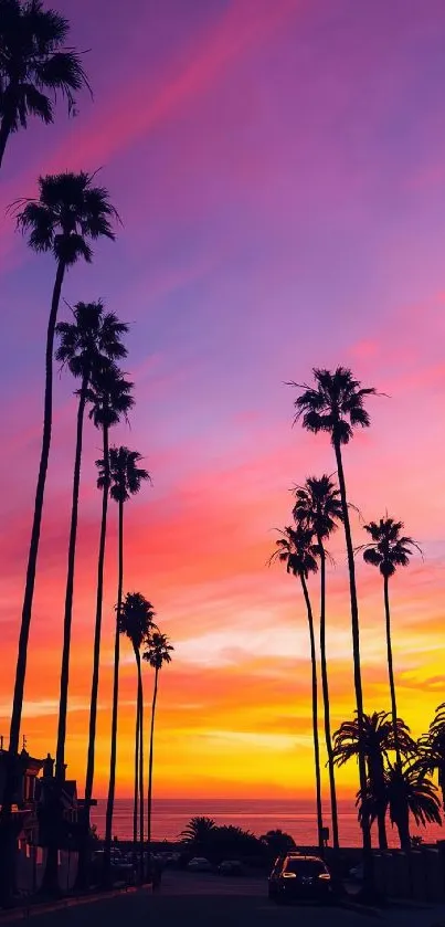 Vibrant sunset with palm trees silhouetted against a colorful sky.