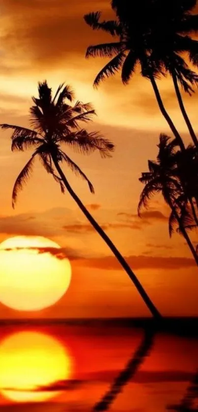 Tropical palm trees silhouetted against a vibrant sunset sky.