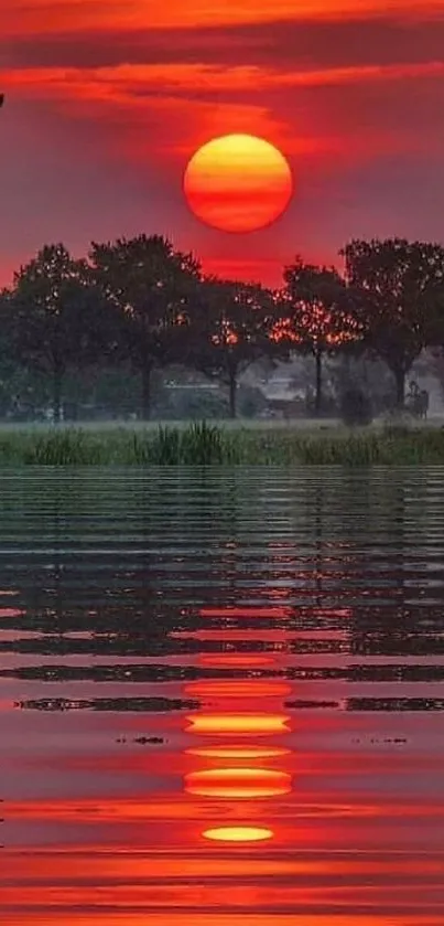 Vibrant sunset over a calm lake with trees reflecting on the water.