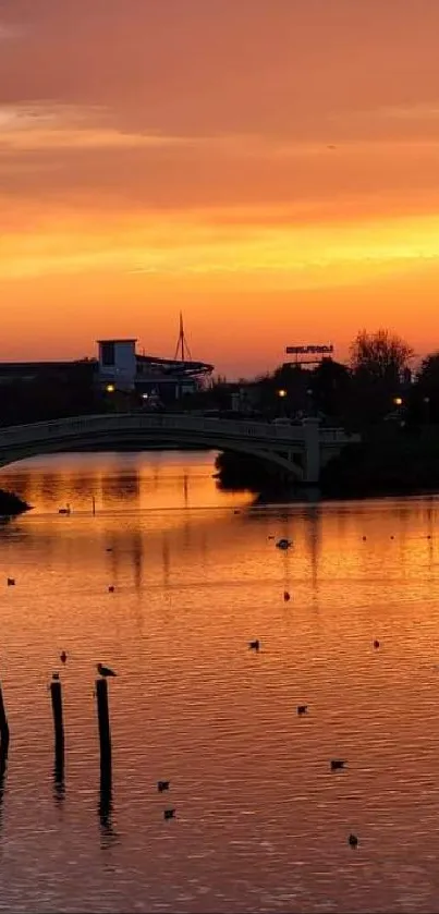 Scenic sunset river view with reflections and a ferris wheel silhouette.