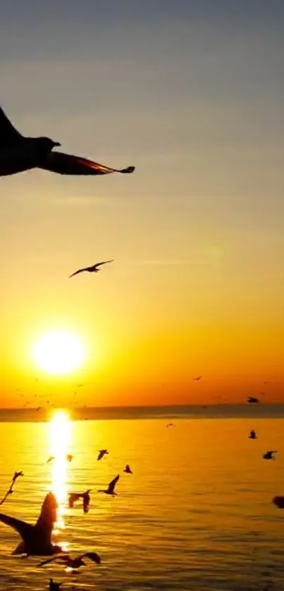 Seagulls flying over a golden sunset on the ocean.