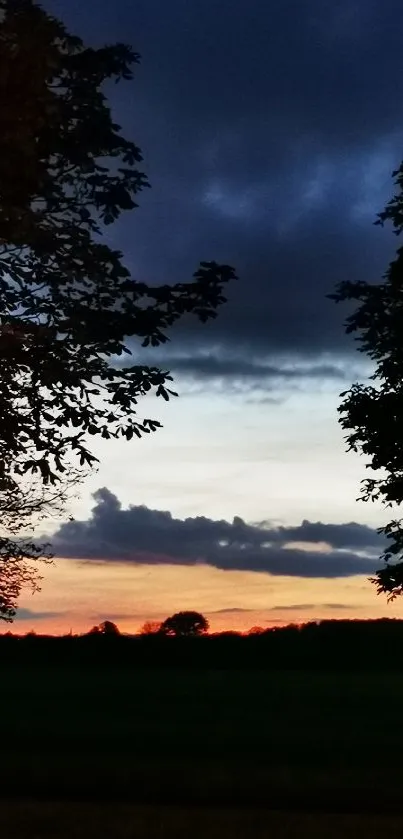 Mobile wallpaper of a sunset silhouette with trees and colorful sky.