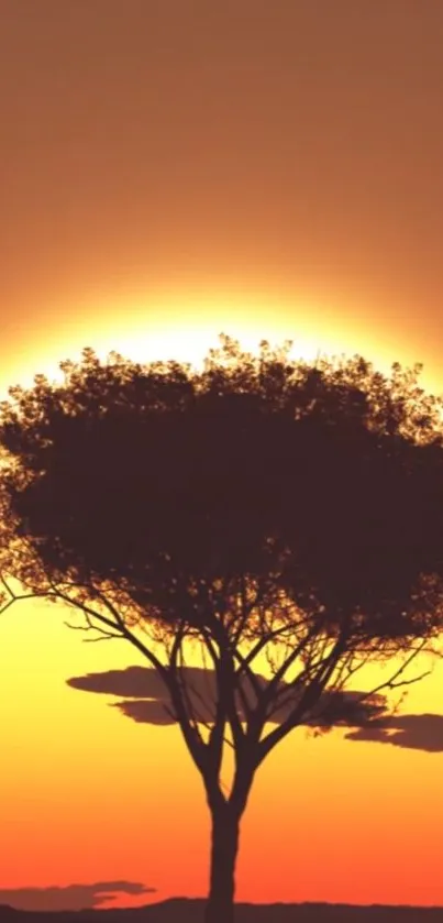 Silhouette of a tree against a vibrant sunset sky.